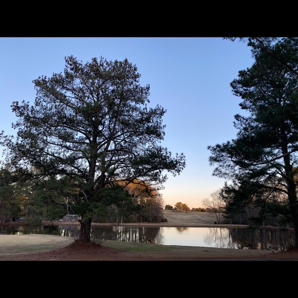 Meet your Posher, Michelle - Picture 1 of 1